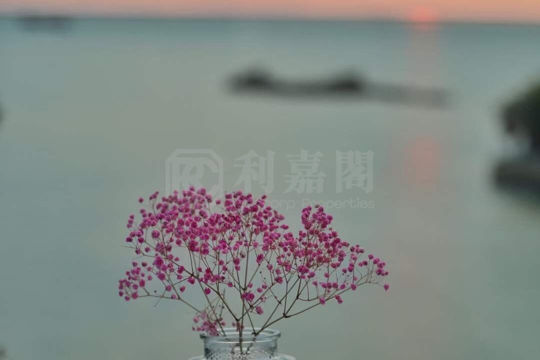 10f7e55d-7d21-4bf3-b047-12eaa22a229b