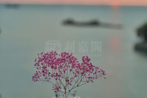 10f7e55d-7d21-4bf3-b047-12eaa22a229b