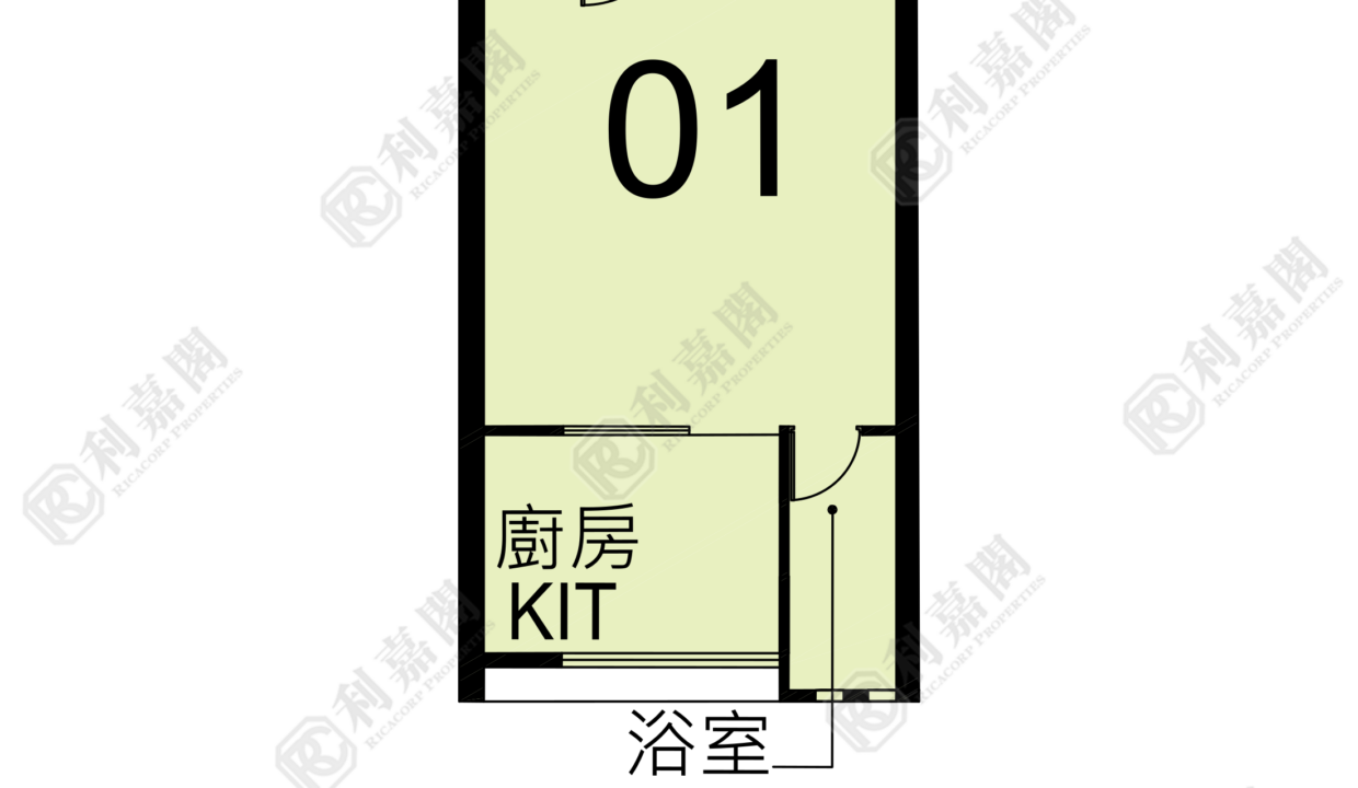123095_2000_Ricacorp.png