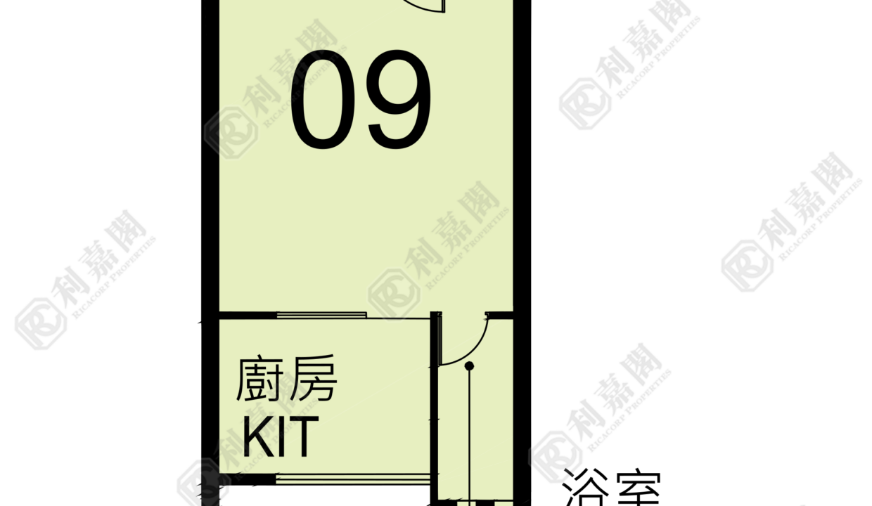 123166_2000_Ricacorp-1.png