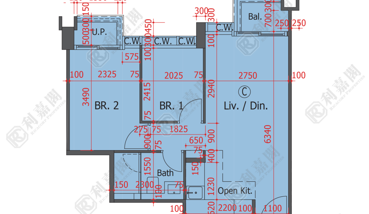 137327_2000_Ricacorp.png