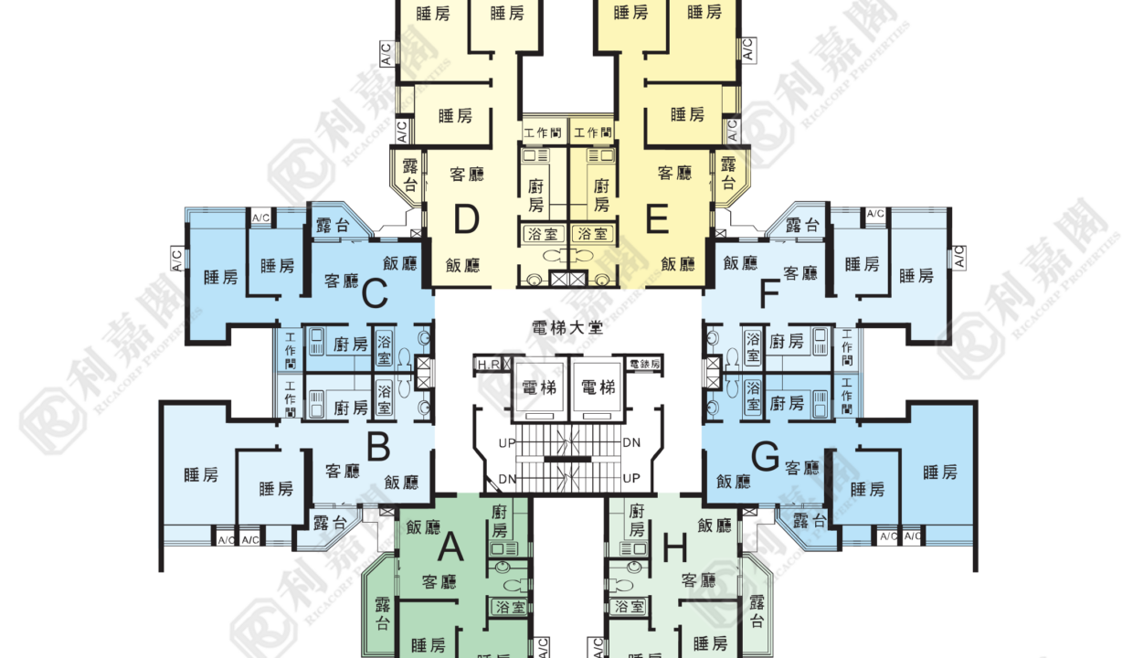 14679_2000_Ricacorp.png