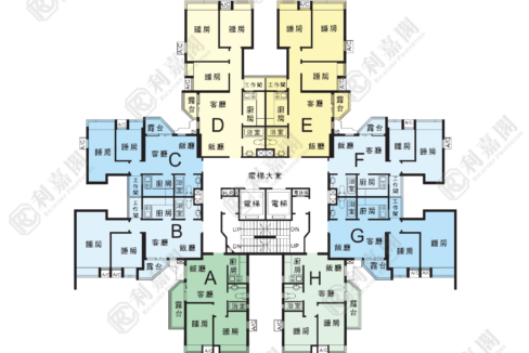 14679_2000_Ricacorp.png