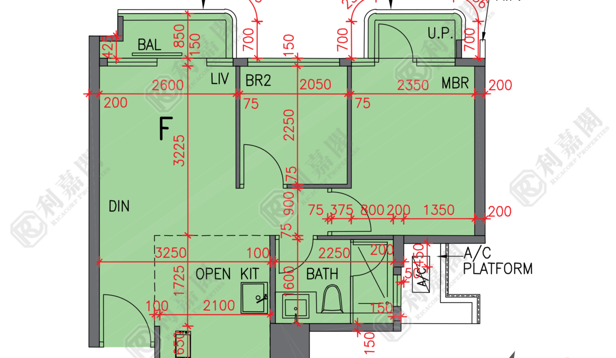 152324_2000_Ricacorp.png
