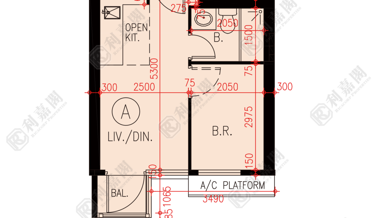 160053_2000_Ricacorp-1.png
