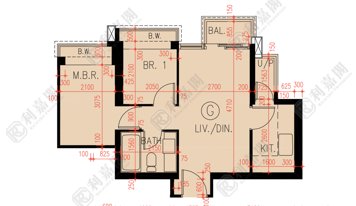 20155_2000_Ricacorp-1.png