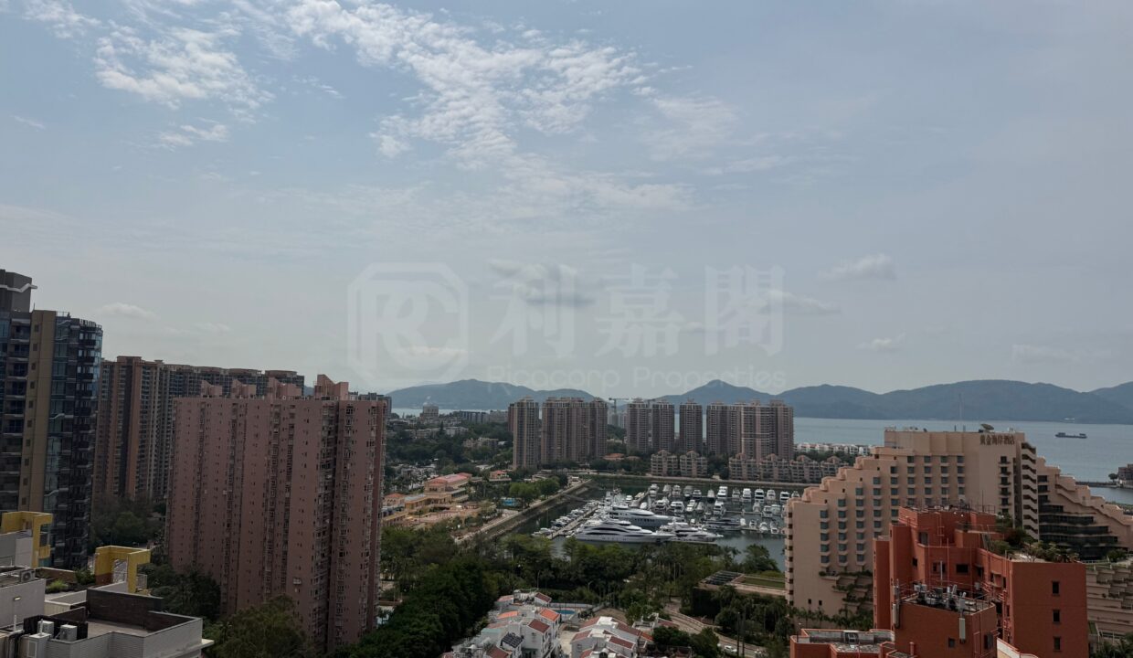 3e340168-908d-485b-84c1-31e9312d283e.jpeg