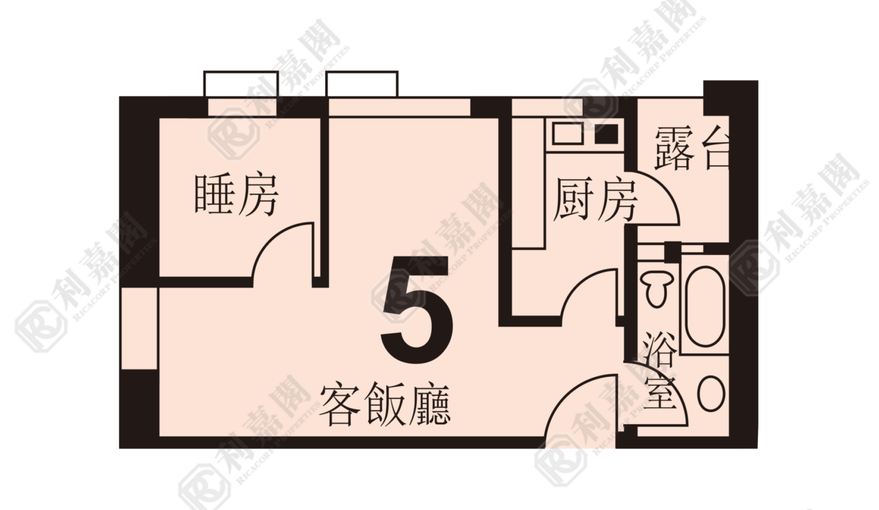 41557_2000_Ricacorp.png