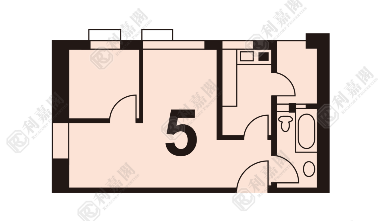 41591_2000_Ricacorp.png