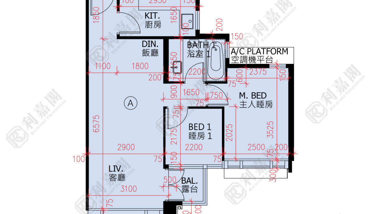 51909_2000_Ricacorp.png