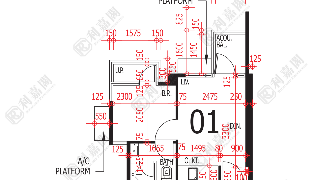 80769_2000_Ricacorp.png