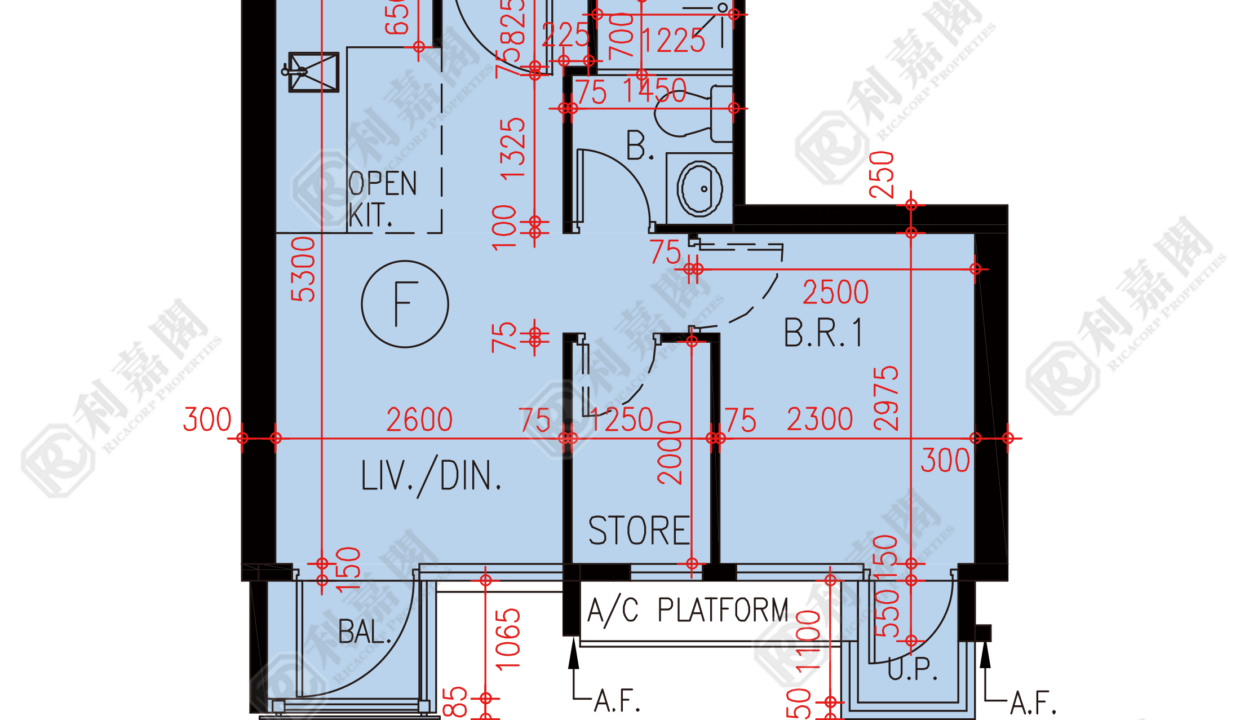80878_2000_Ricacorp.png