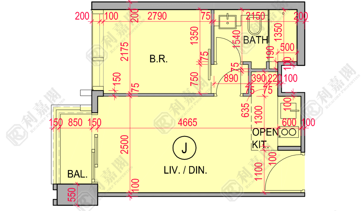 83842_2000_Ricacorp.png