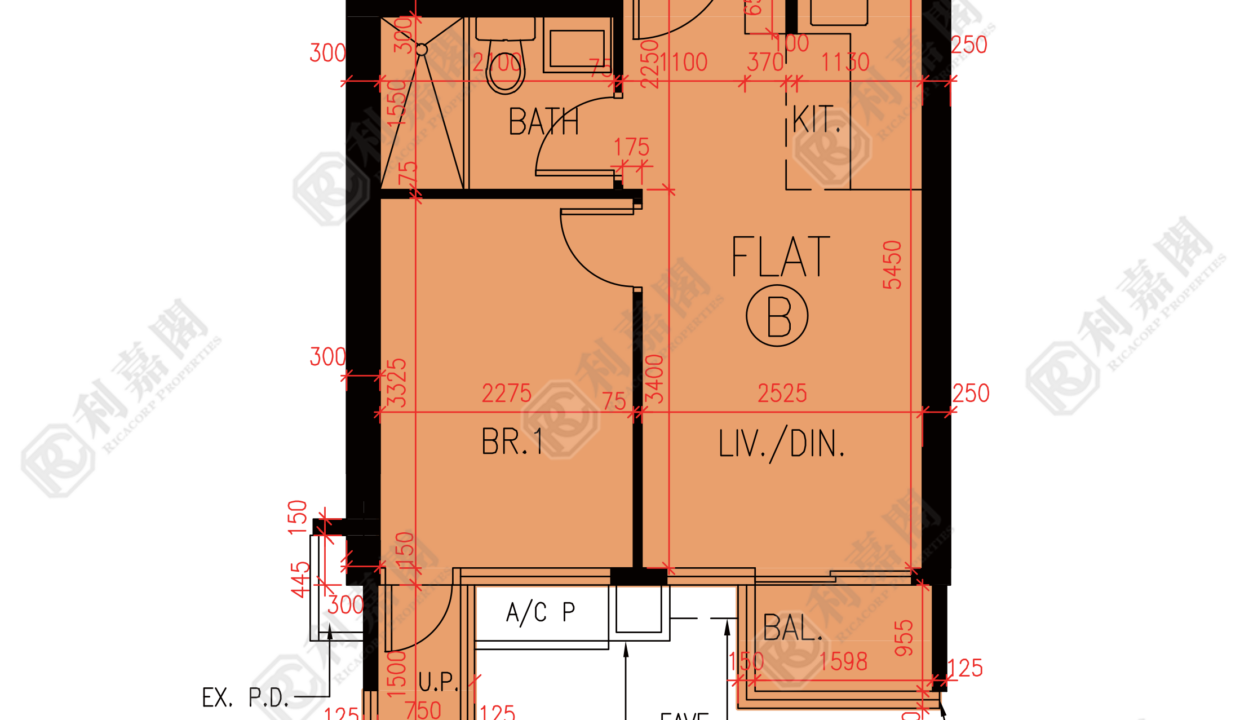 84168_2000_Ricacorp.png