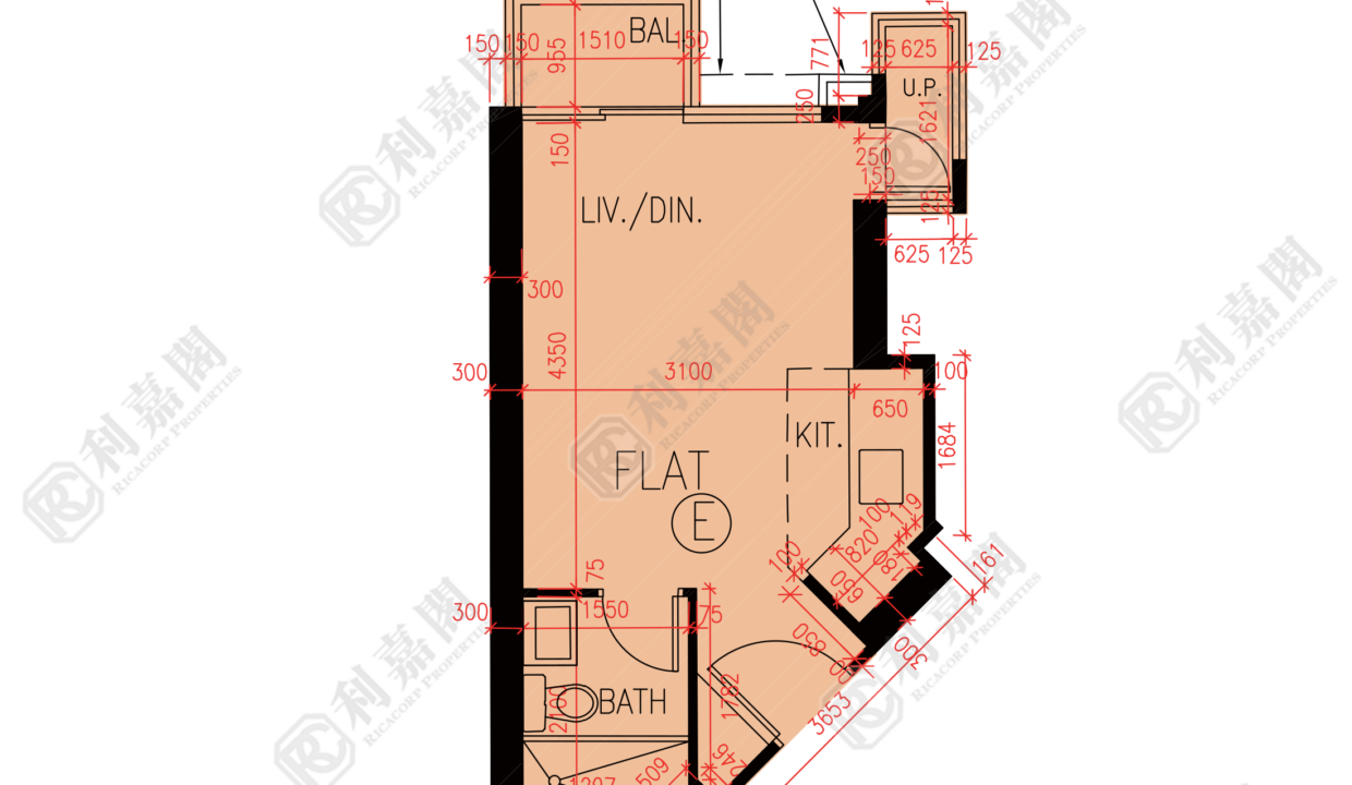 84179_2000_Ricacorp.png