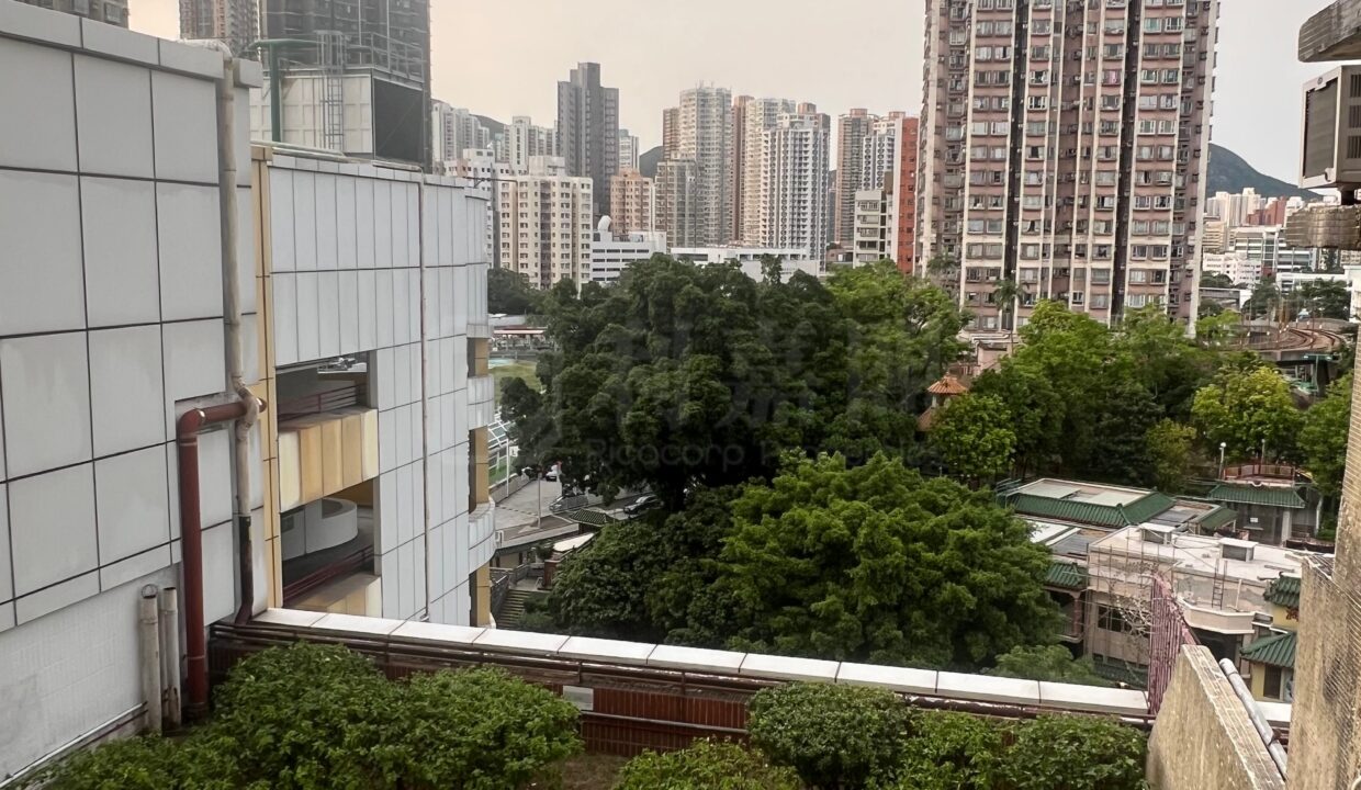 ec99eb2e-5d45-4dee-9670-f97d951c877c.jpeg