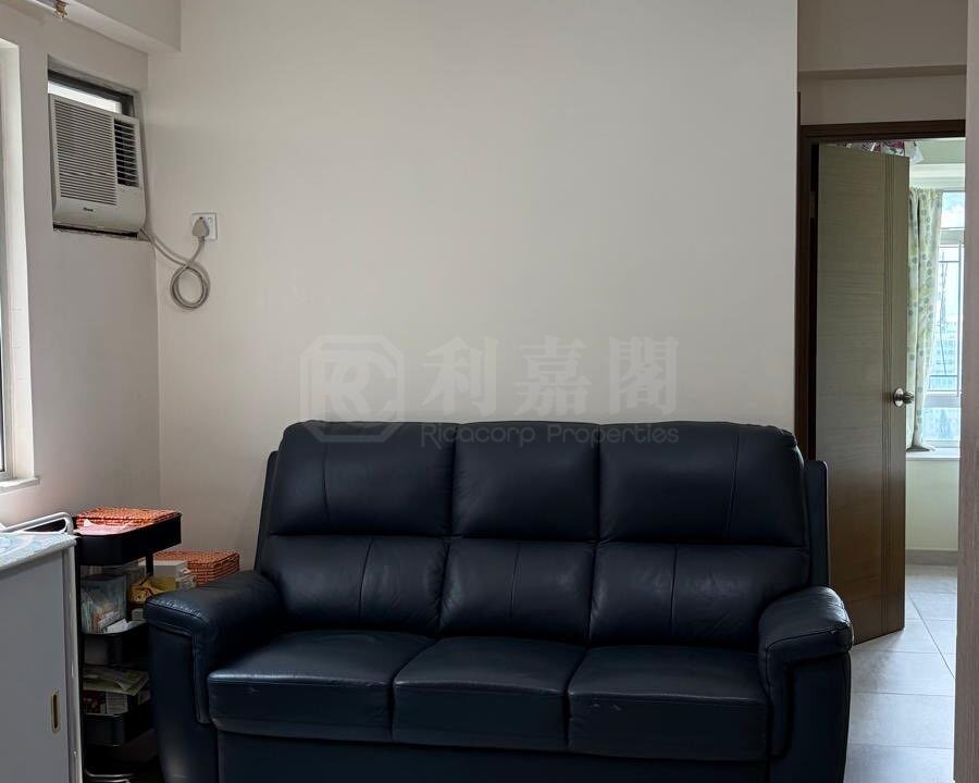 fb9e922e-1482-403e-abf2-b0a84464723e.jpeg
