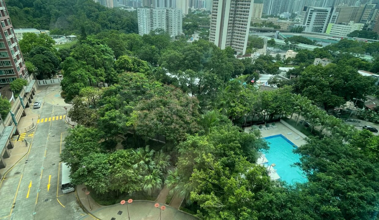 00304d75-d3d8-4197-91dc-09983c5da658.jpeg
