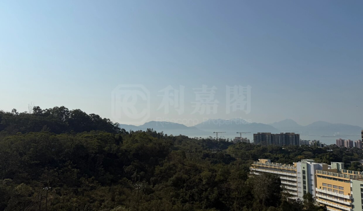 bd070bd6-bcac-432e-b493-c84126a9b637.jpeg