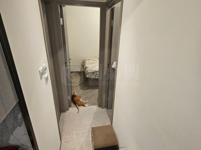 NOVO LAND 2A期 Arreso 3座 - 屯門屋網 28tuenmun.com