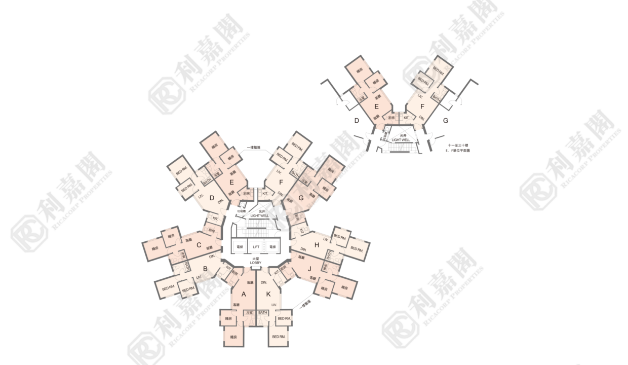 104270_2000_Ricacorp.png
