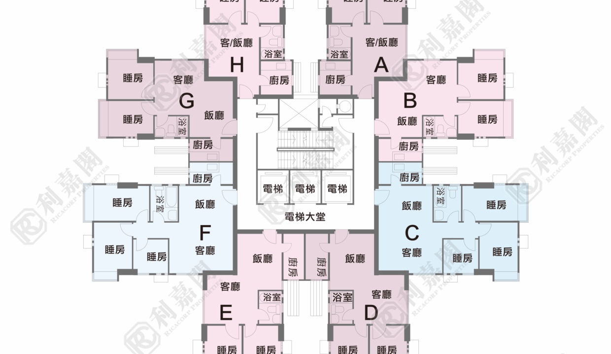 117225_2000_Ricacorp.png