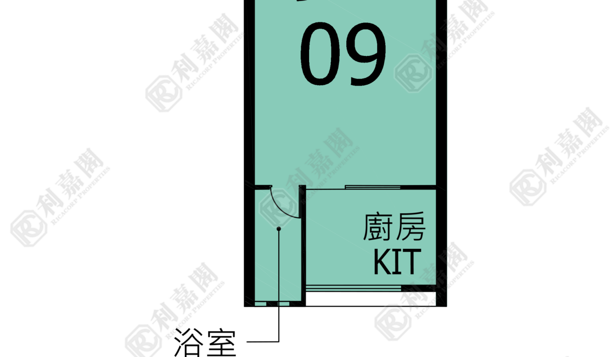 123307_2000_Ricacorp.png