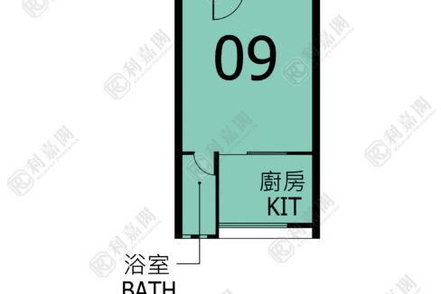 123307_2000_Ricacorp.png