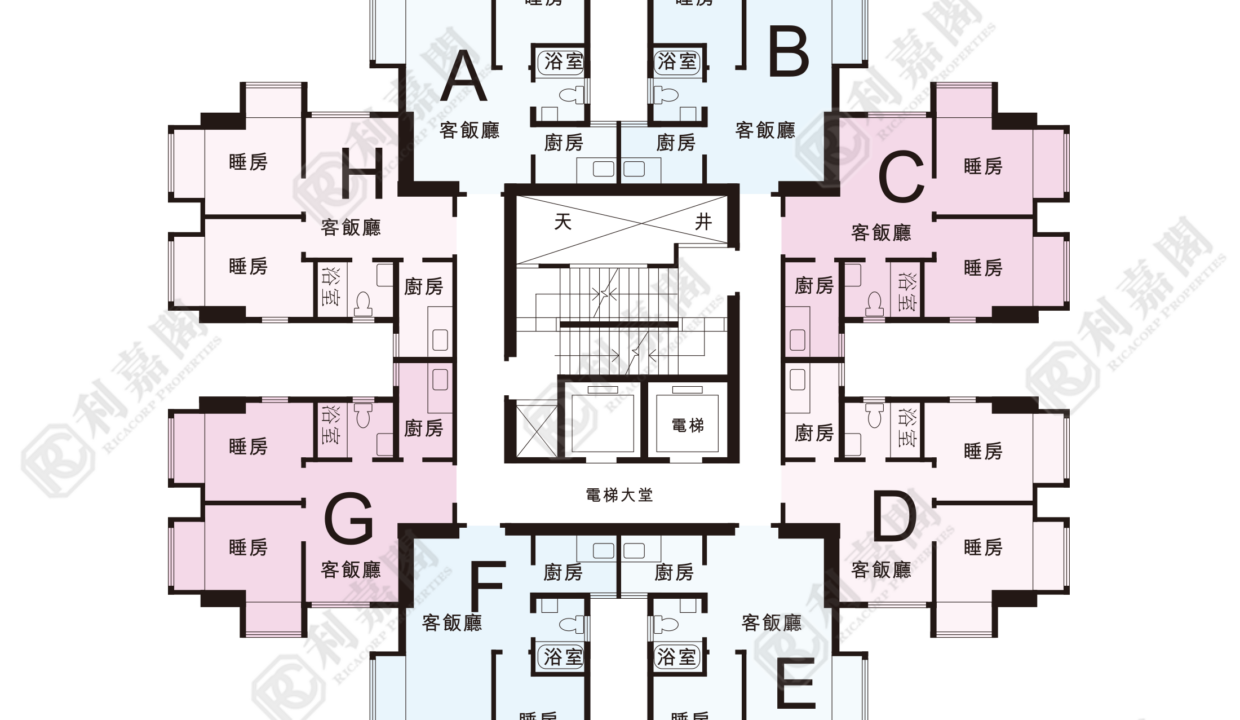 137595_2000_Ricacorp.png