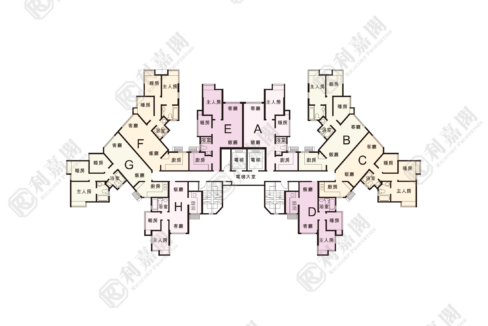 137605_2000_Ricacorp.png