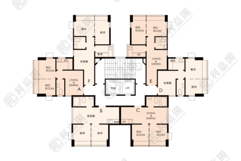 143897_2000_Ricacorp-2.png