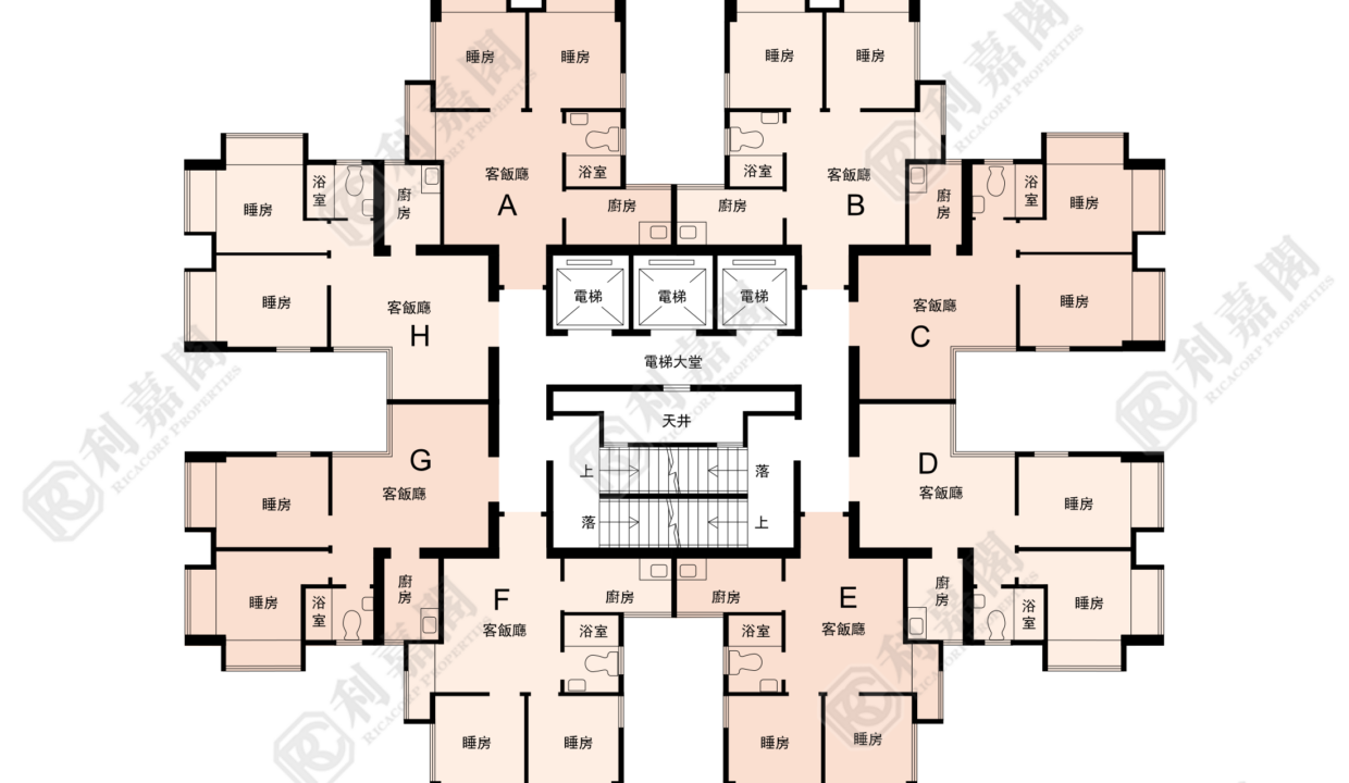 144140_2000_Ricacorp-1.png