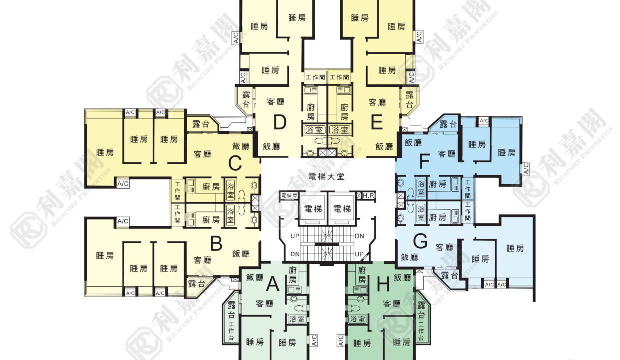 14682_2000_Ricacorp-2.png