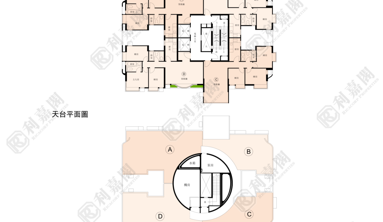 150694_2000_Ricacorp.png