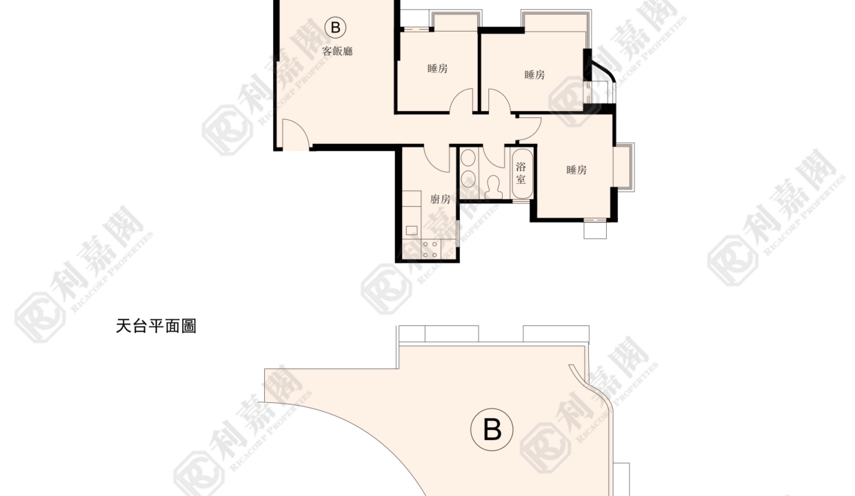 153159_2000_Ricacorp.png