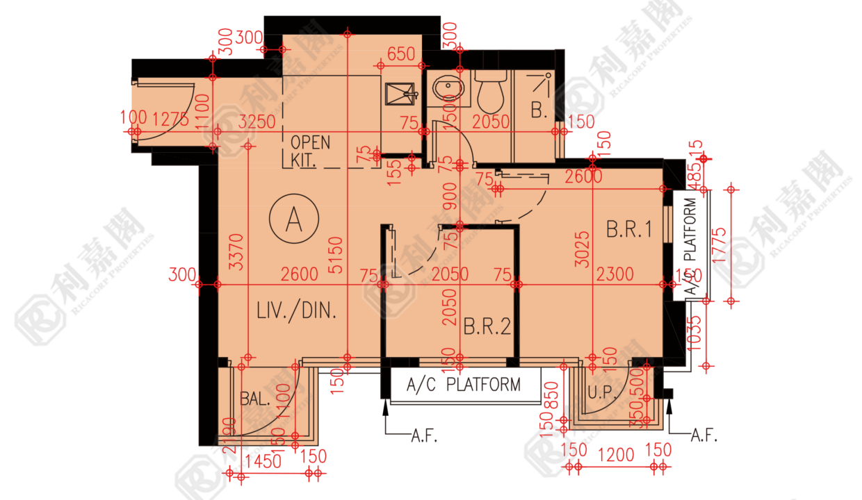160045_2000_Ricacorp.png
