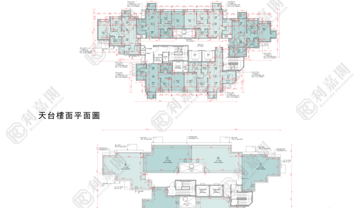167863_2000_Ricacorp.png