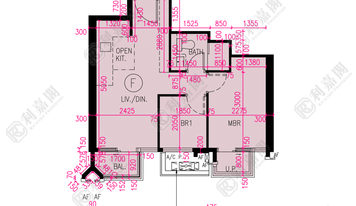 174381_2000_Ricacorp.png