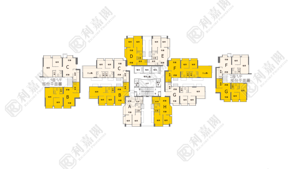 21014_2000_Ricacorp-1.png