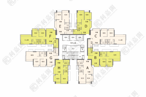 21015_2000_Ricacorp.png