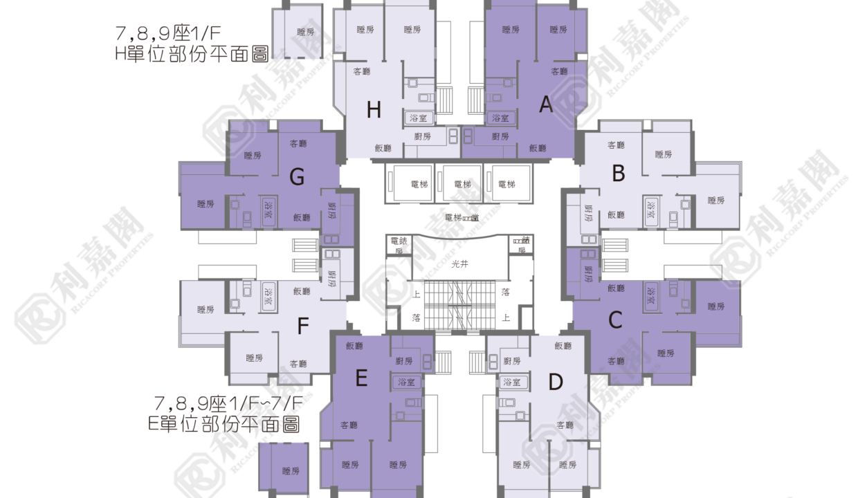 21022_2000_Ricacorp-1.png