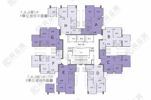 21023_2000_Ricacorp.png