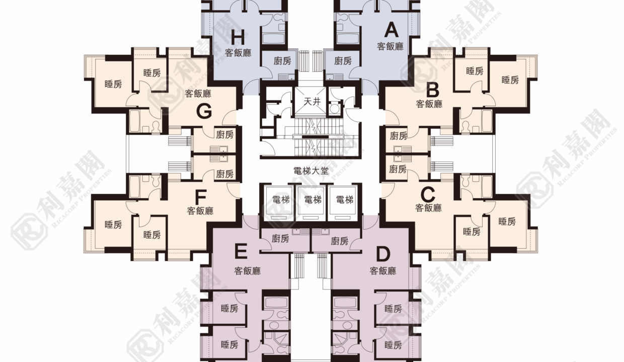 28167_2000_Ricacorp-1.png