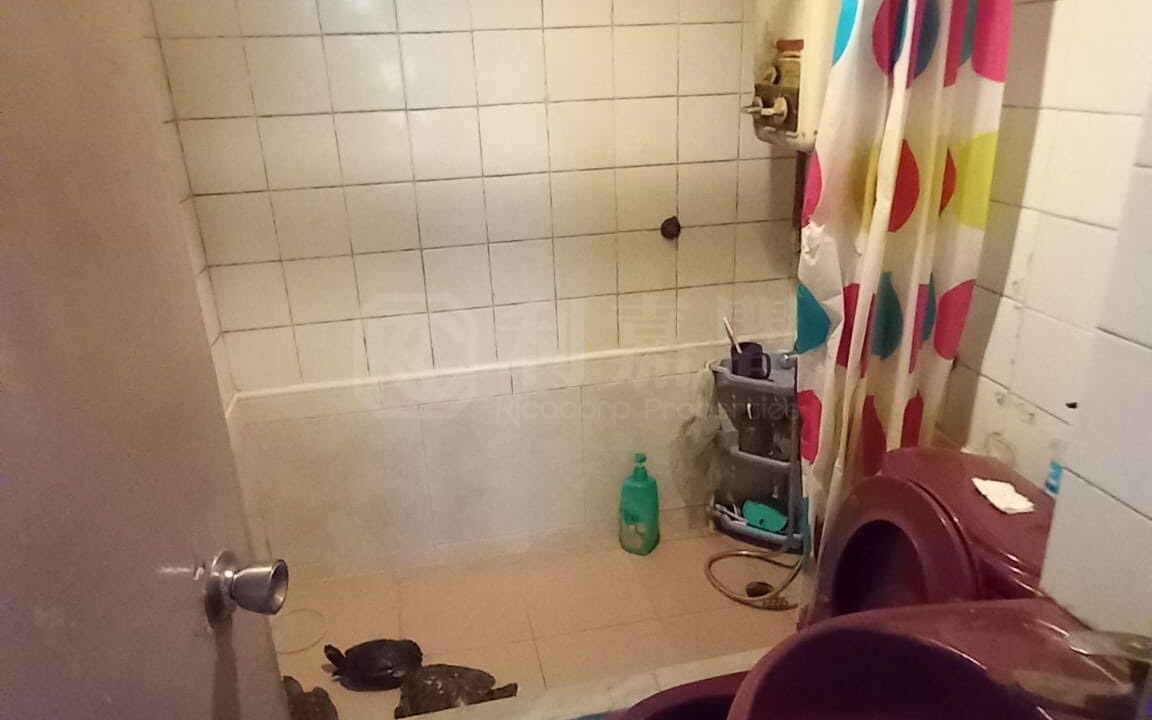 2f477213-8688-4dce-98eb-3fc0682115d8.jpeg