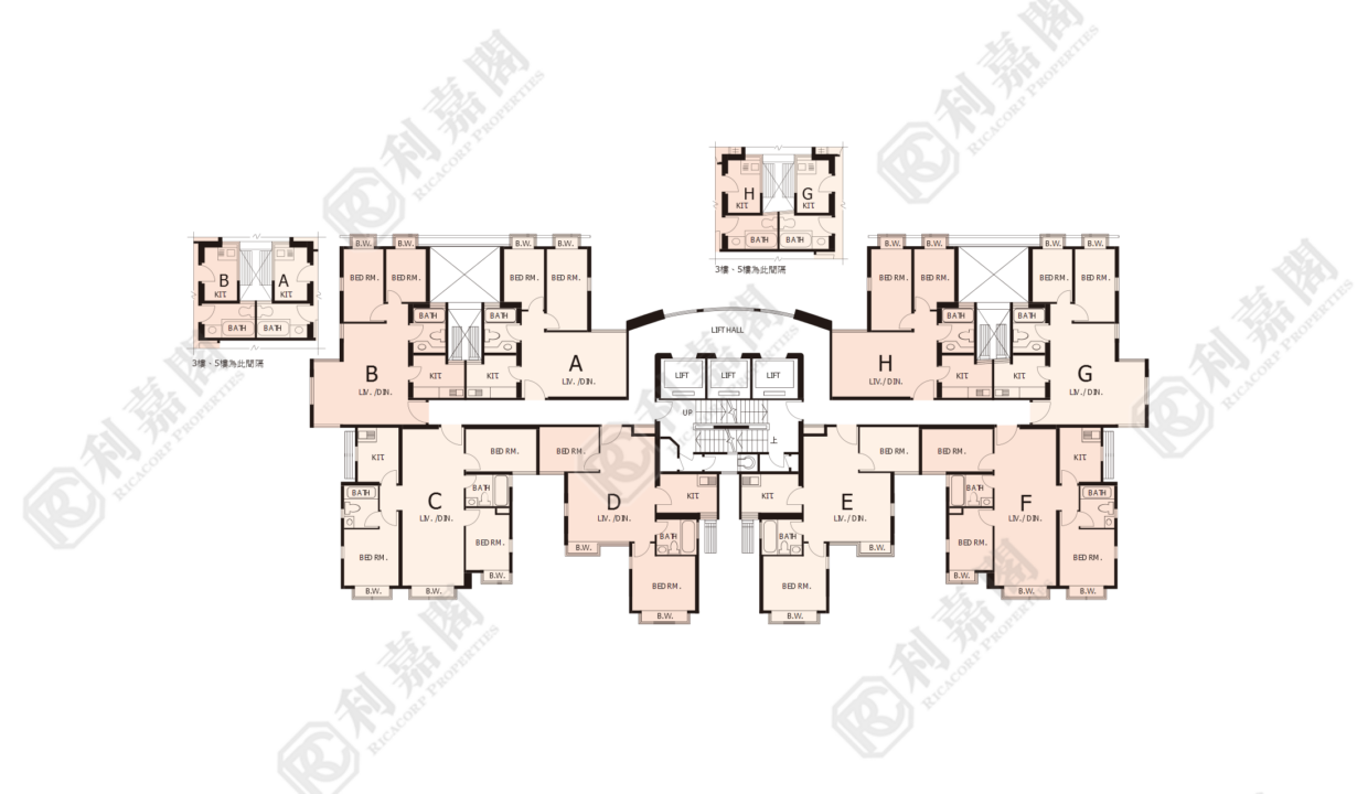 40260_2000_Ricacorp.png