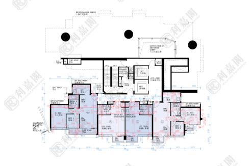 45118_2000_Ricacorp.png