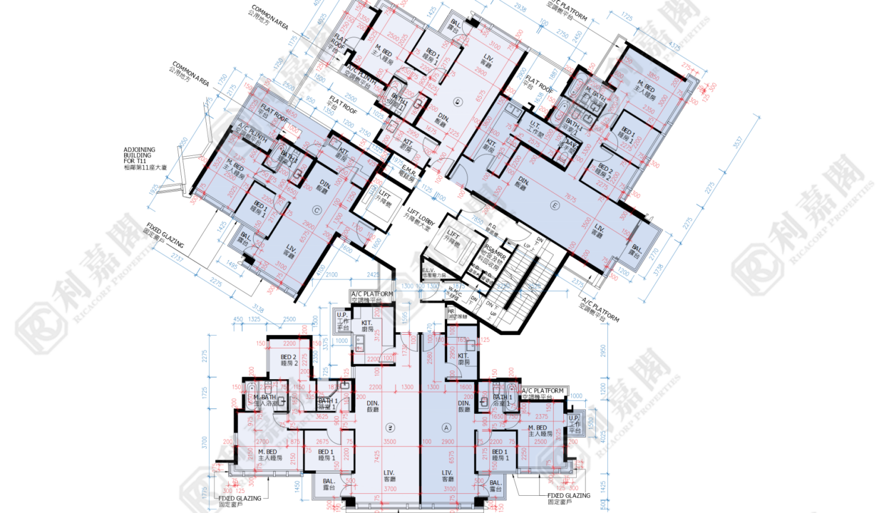 45140_2000_Ricacorp.png