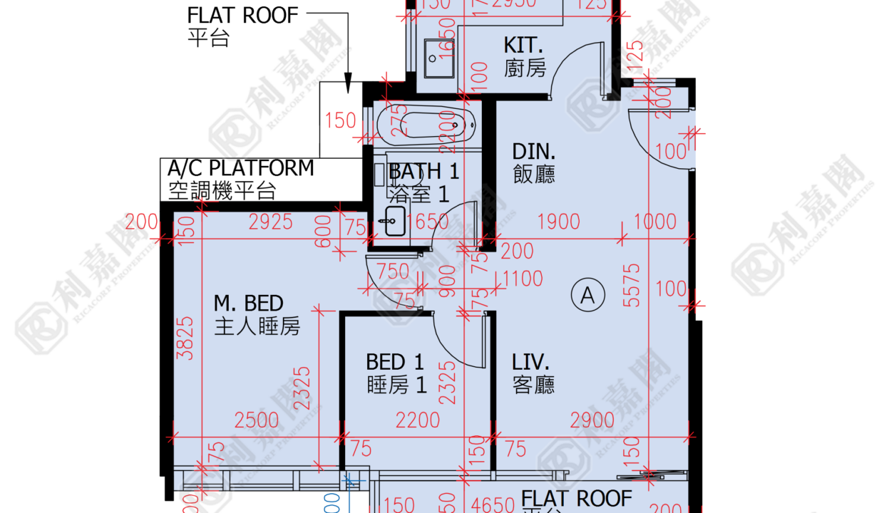 51828_2000_Ricacorp.png