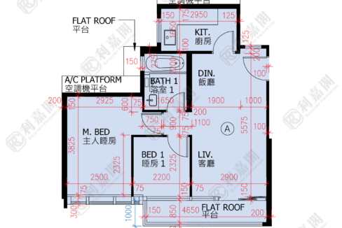 51828_2000_Ricacorp.png