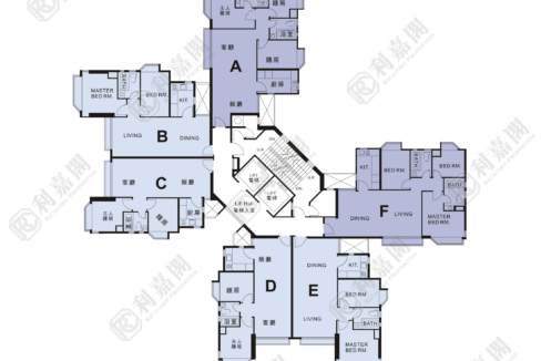 56077_2000_Ricacorp.png